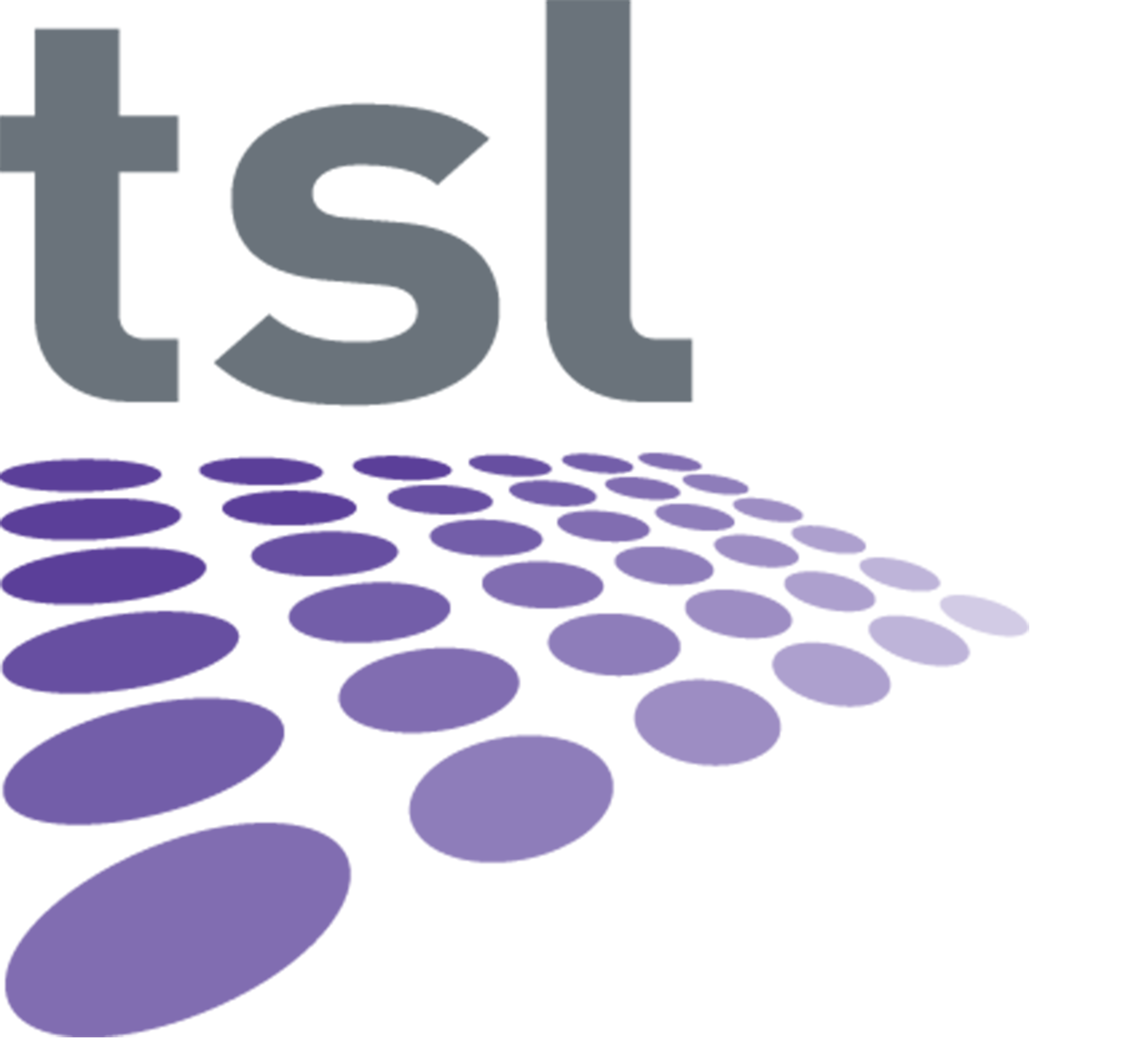 TSL – UK and Rigging Services